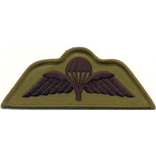 Picture of Para Wings Badge - Black on Olive (subdued) - Pair