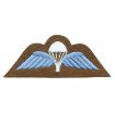 Picture of Para Wings Badge - Sky Blue on Khaki - Embroidered - Pair