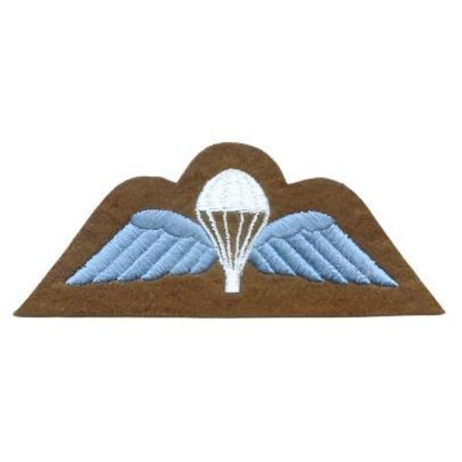 Picture of Para Wings Badge - Sky Blue on Khaki - Embroidered - Pair