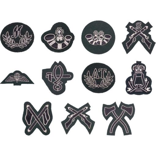 Picture of The Rifles Qualification Badges - Mess Dress